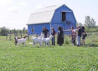 Angelos Barn