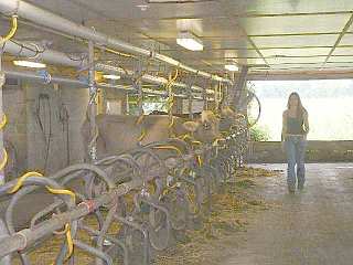 Sosnicki Farms