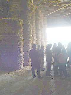 Sosnicki Farms